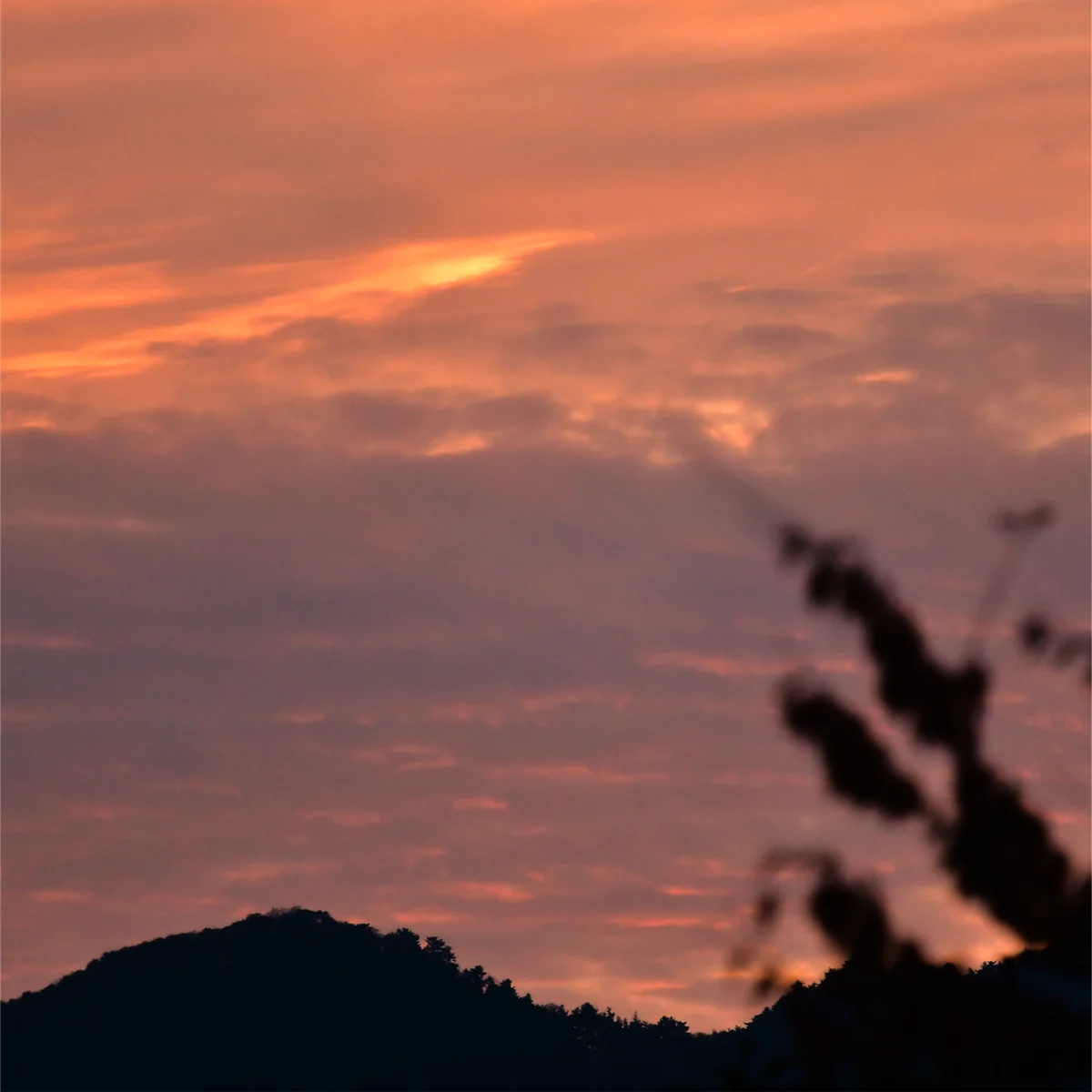夕暮れの空の下に山並みが写っている