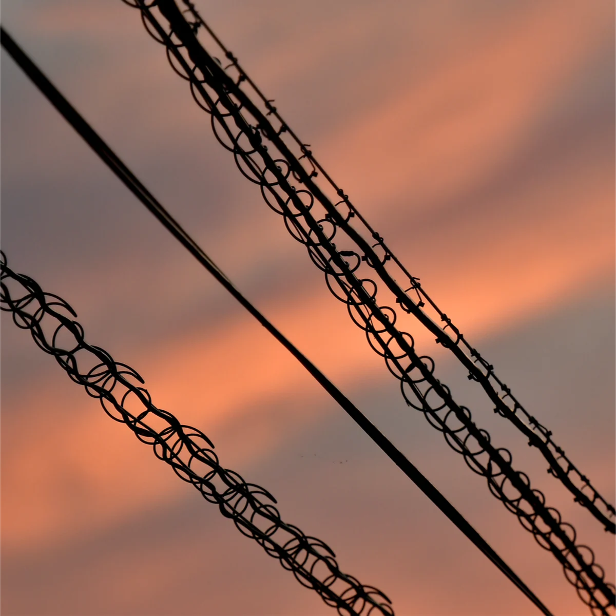 夕暮れの空を背景にした電線