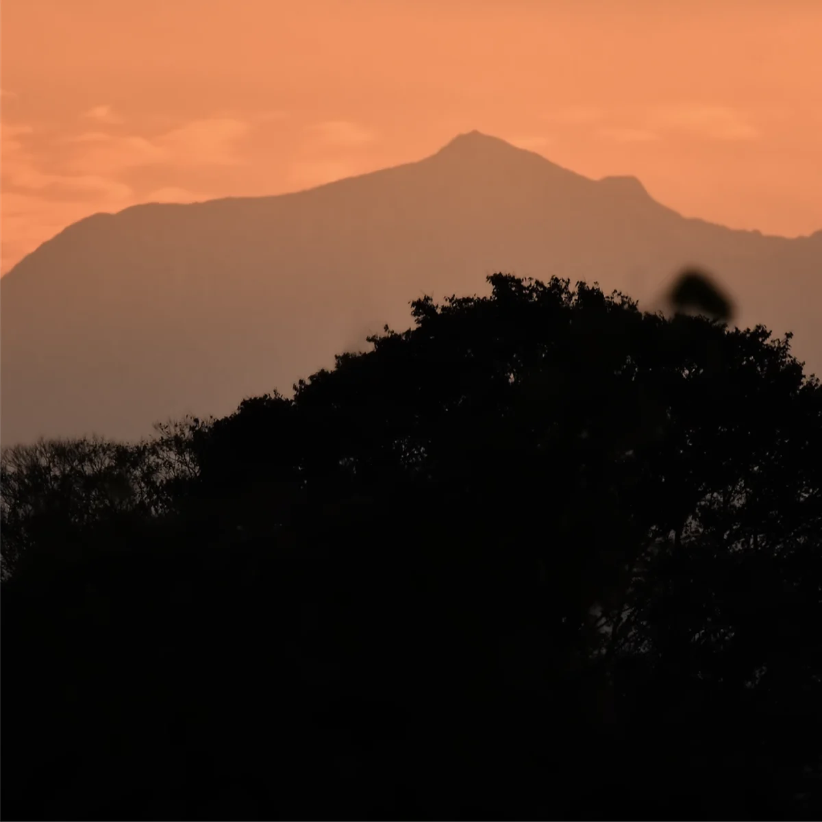 夕暮れの空の下に山並みが写っている