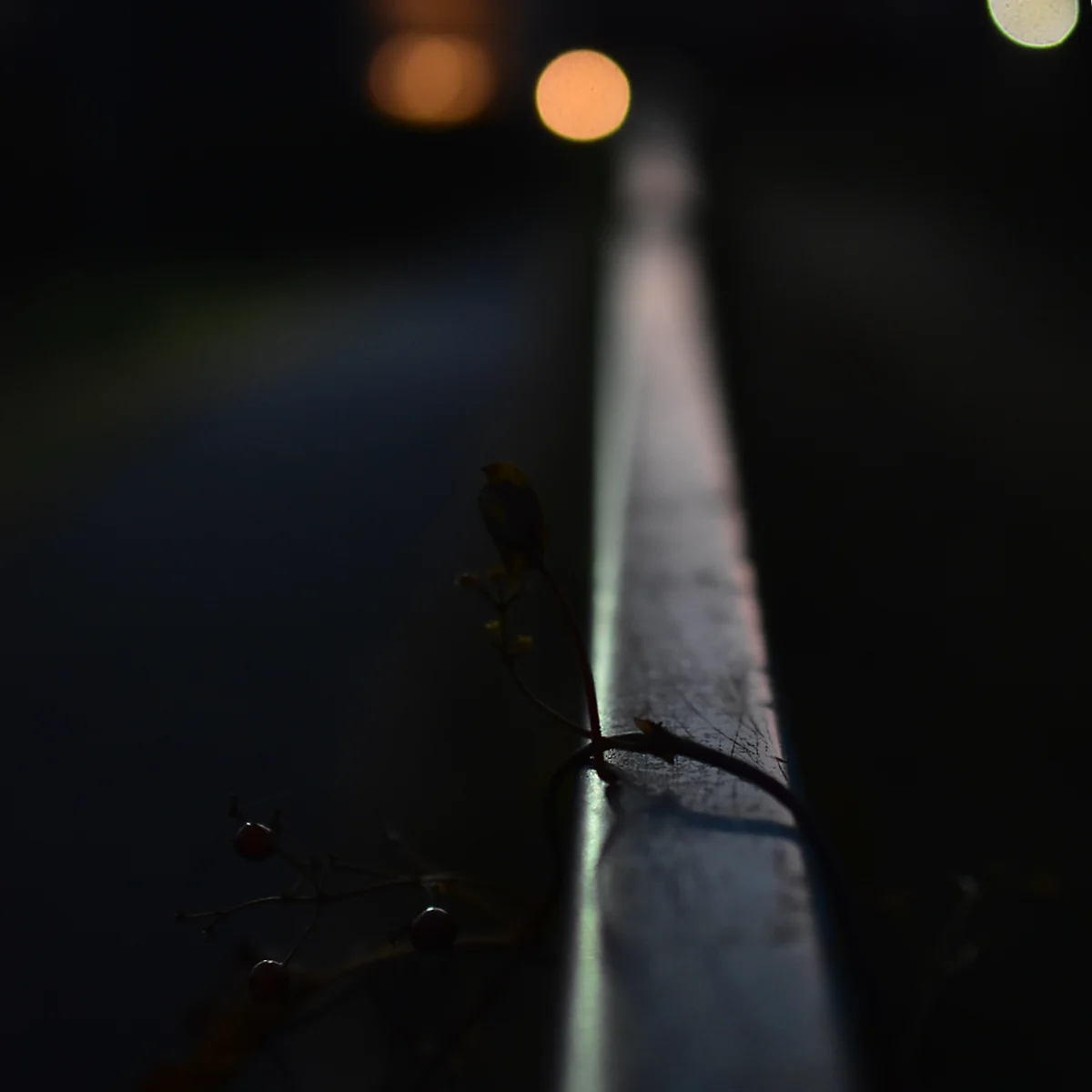 夜のフェンスの手摺部分だけが光っている写真