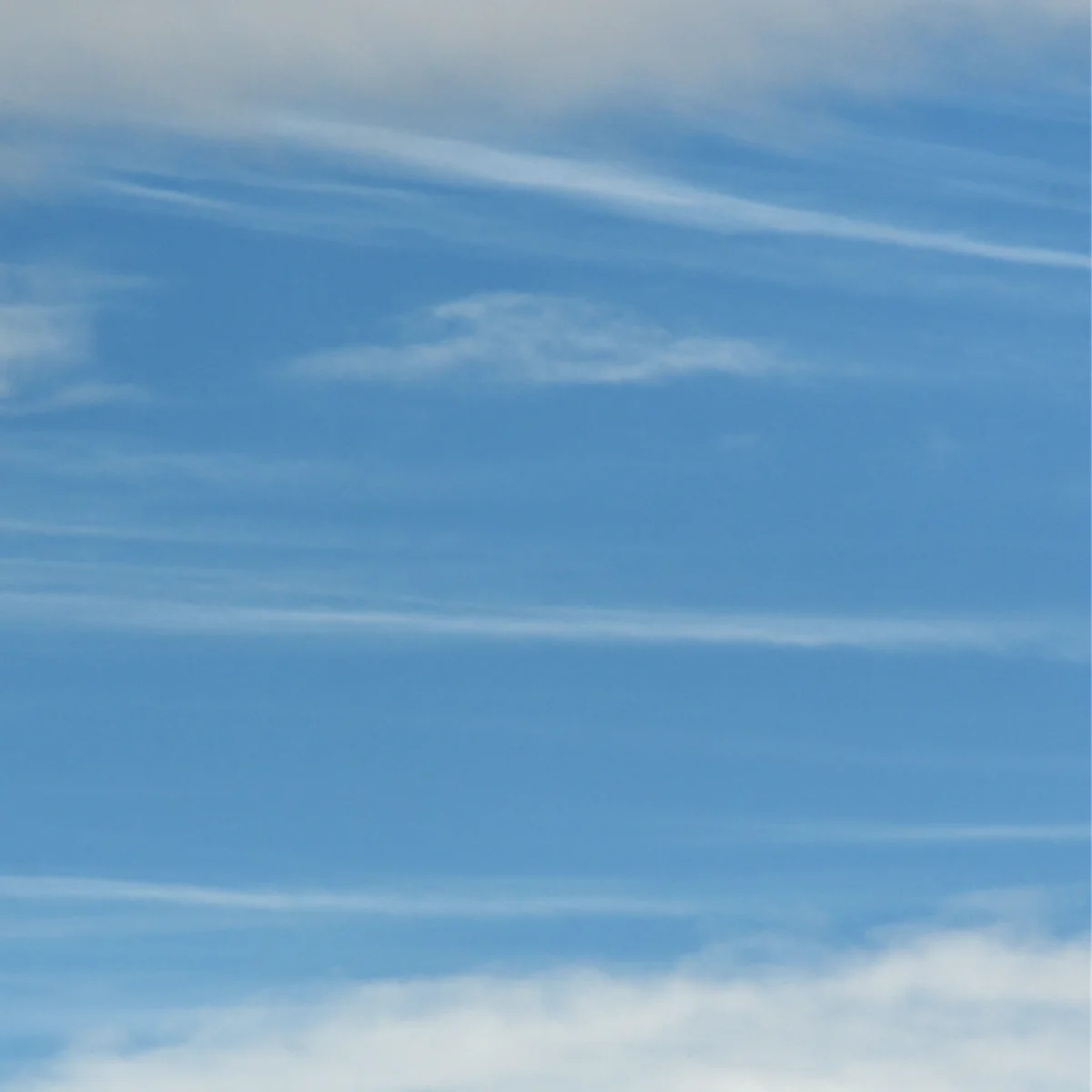 青空に白い雲が細かな線を描いている