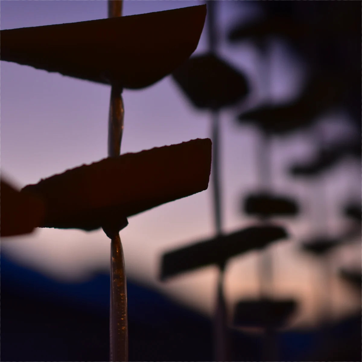 切った大根を紐に吊るして干している