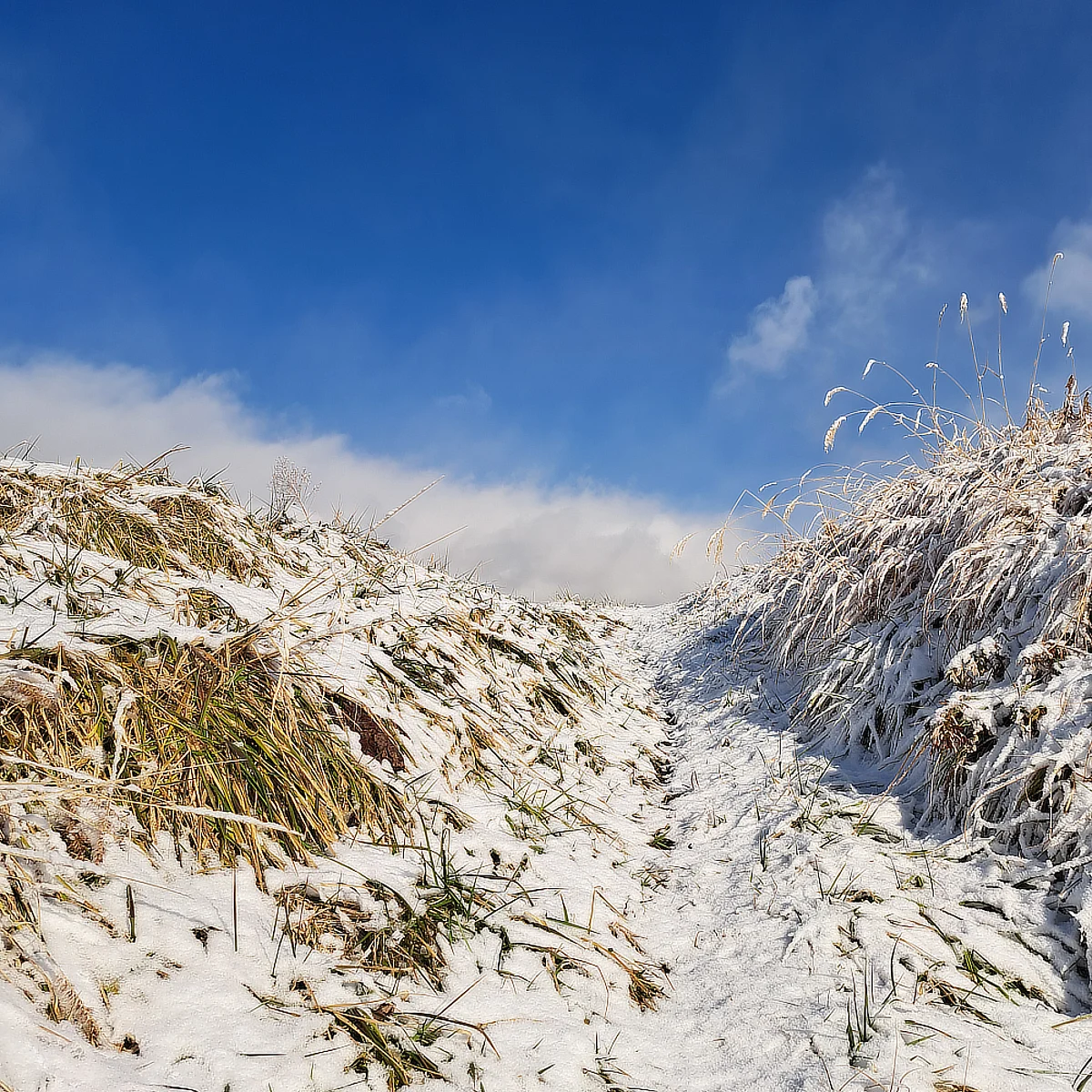 薄く雪が積もった土手に上る道