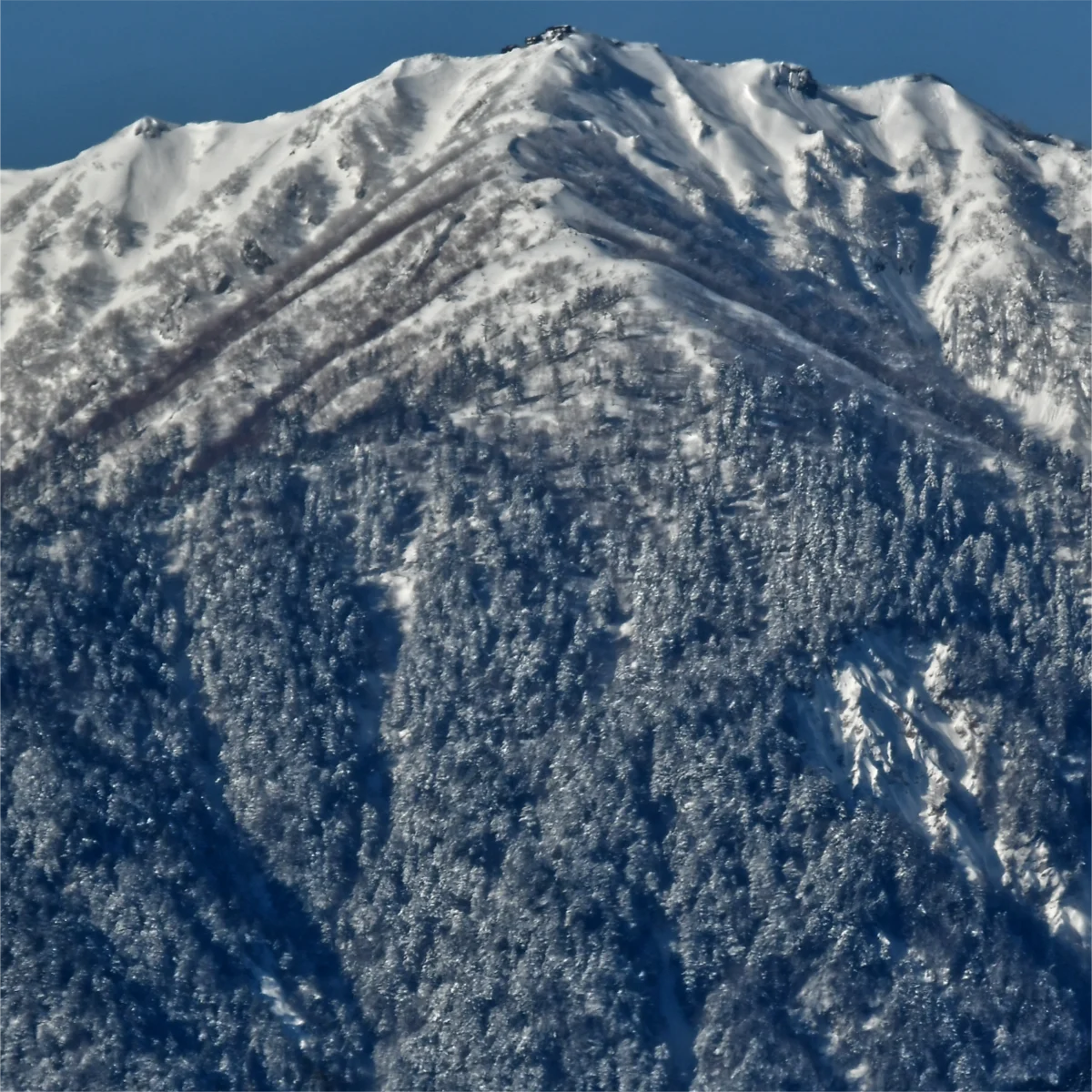 雪山の尾根を正面から写している