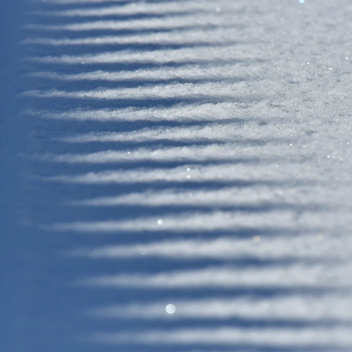 雪面にギザギザとした影が映っている