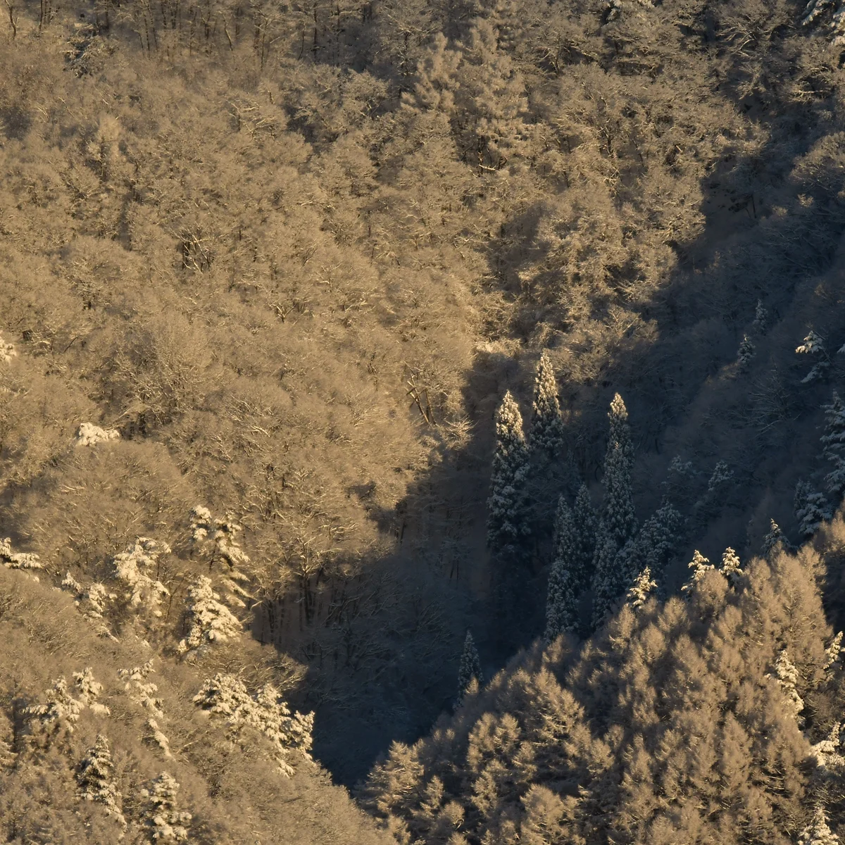 雪化粧した山が朝日に白く輝いている