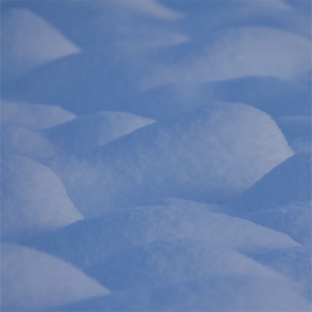 雪面の凹凸が微妙な影を生み出している写真