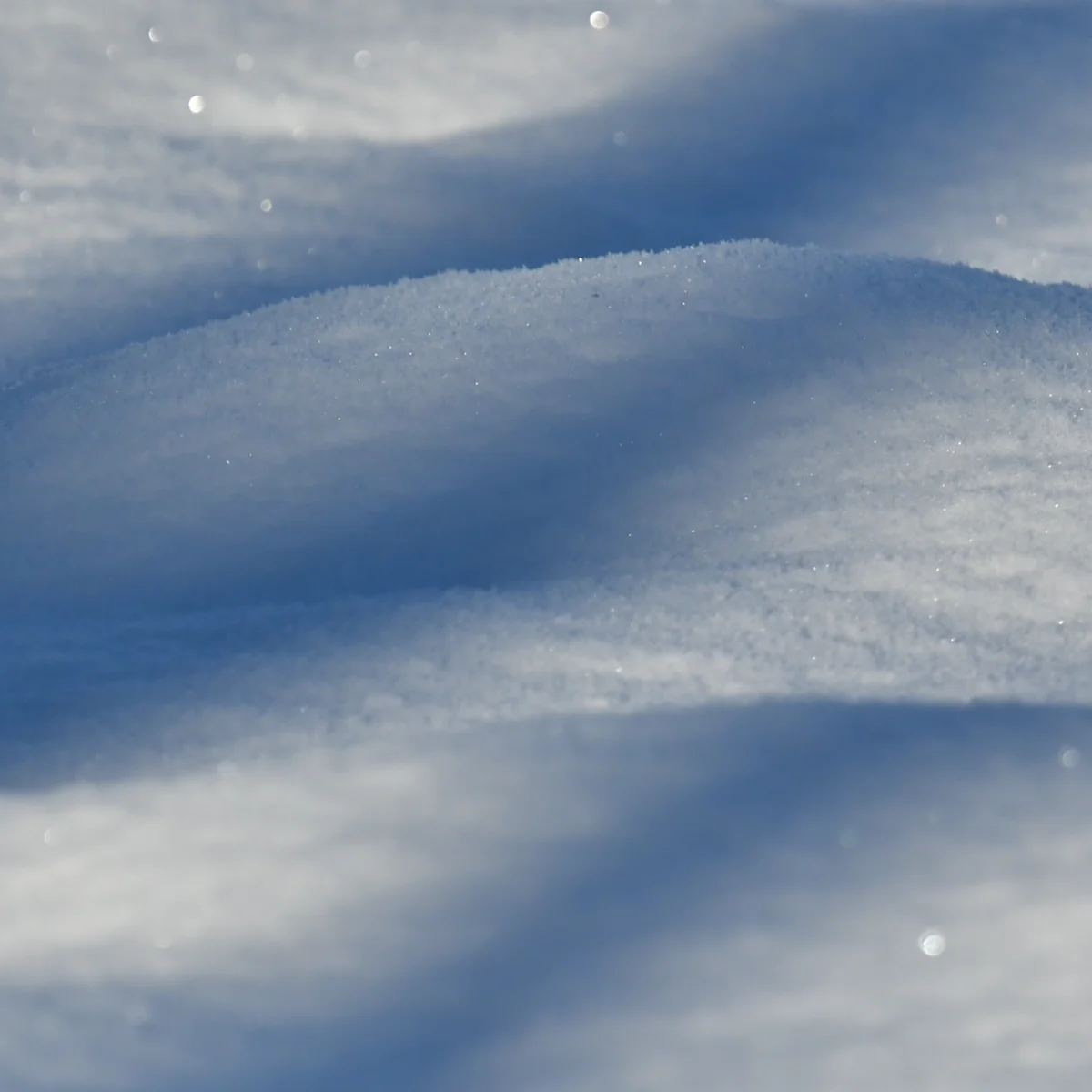 雪面の凹凸が微妙な影を生み出している写真