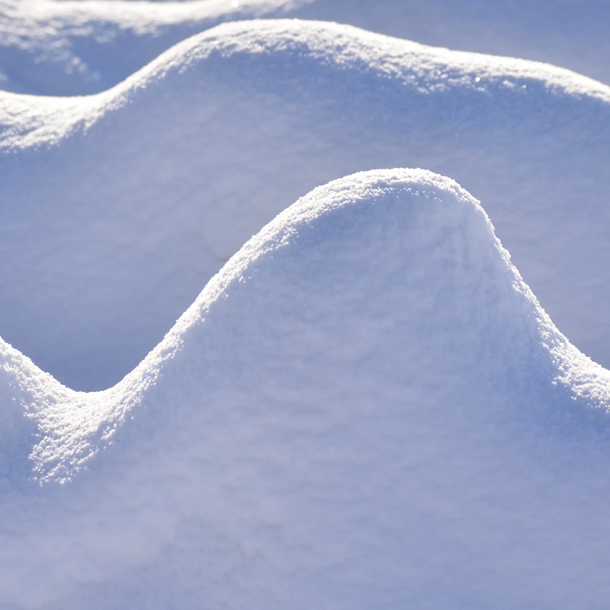 雪面の凹凸が微妙な影を生み出している写真