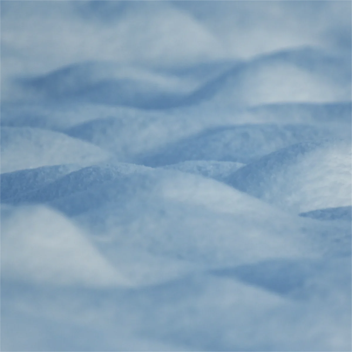 雪面の凹凸が微妙な影を生み出している写真