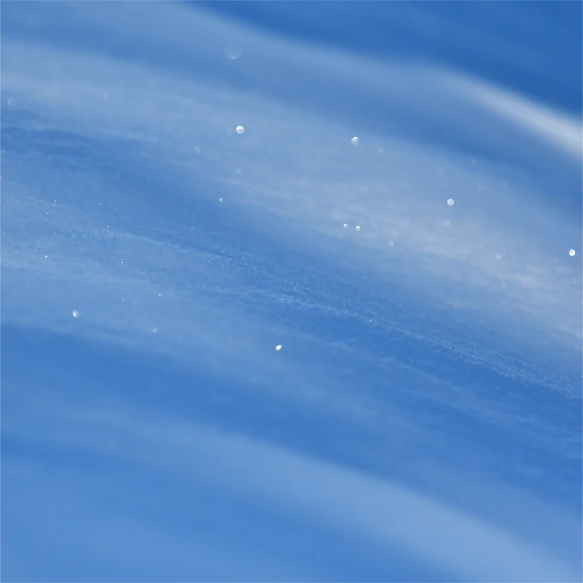 雪面の凹凸が微妙な影を生み出している写真