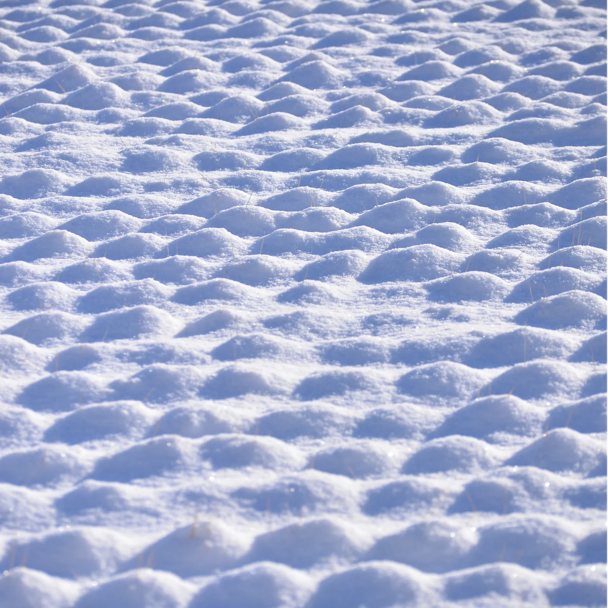 雪面の凹凸が微妙な影を生み出している写真
