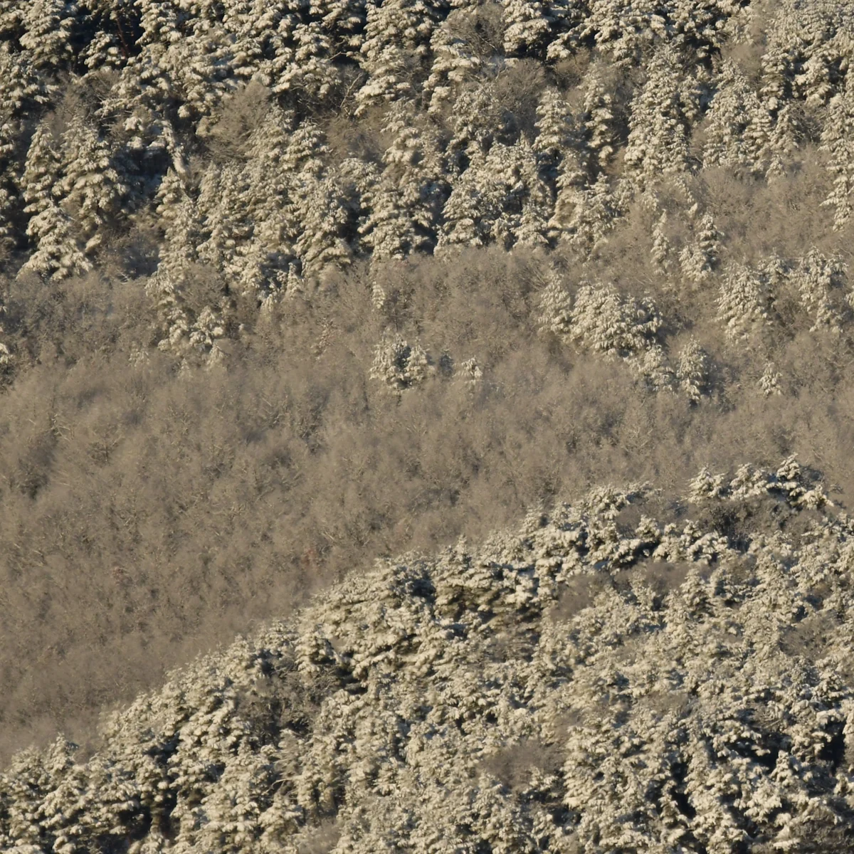 朝日があたっている雪の里山