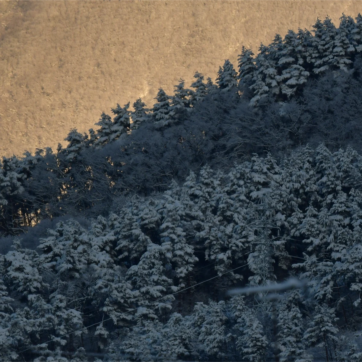 朝日があたる山を背景にした雪の里山