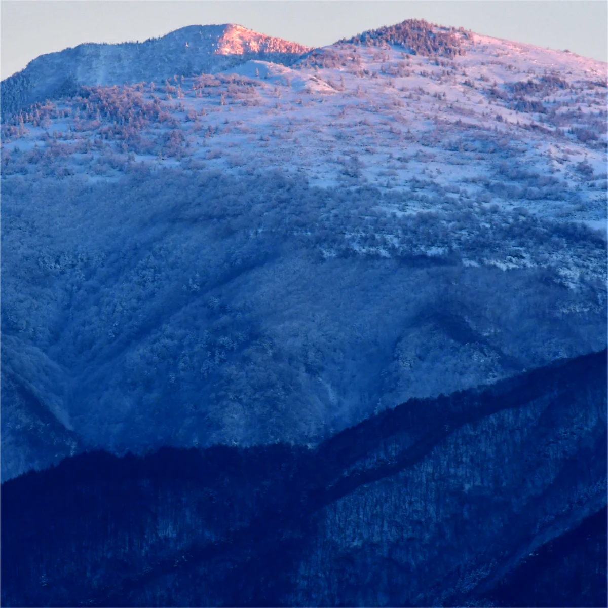 夕日にピンク色に染まった雪山