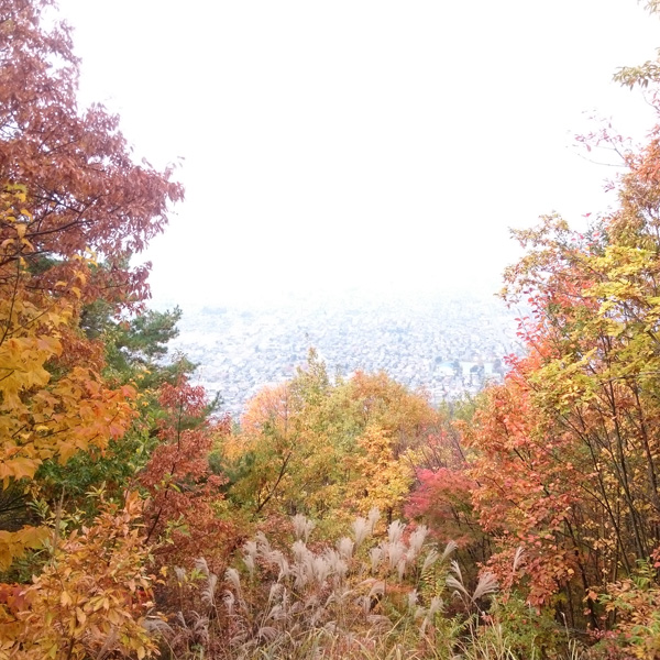 秋の里山