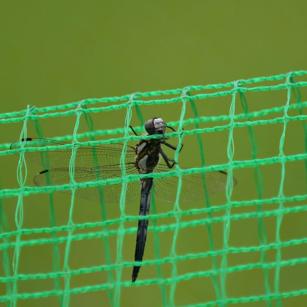 防鳥網