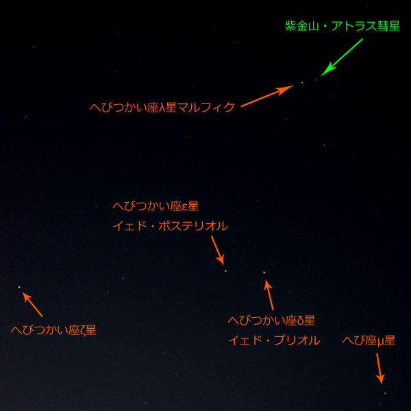 紫金山・アトラス彗星