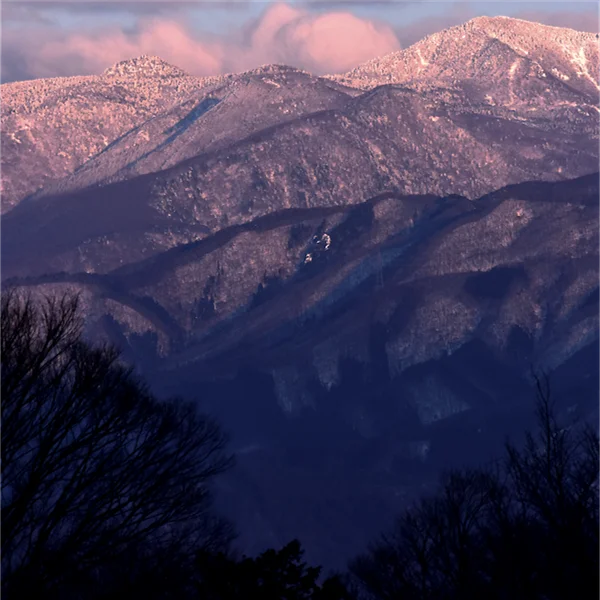 東山のアーベントロート