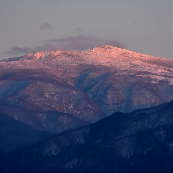 東山のアーベントロート