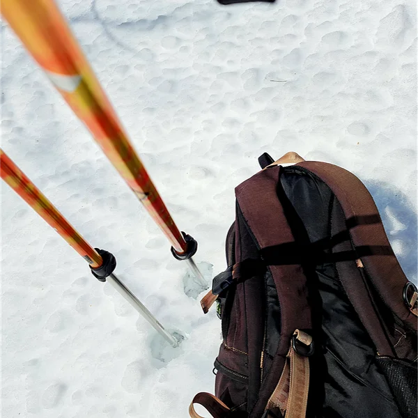 リュックとストック