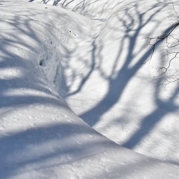 雪に埋まるクリーク