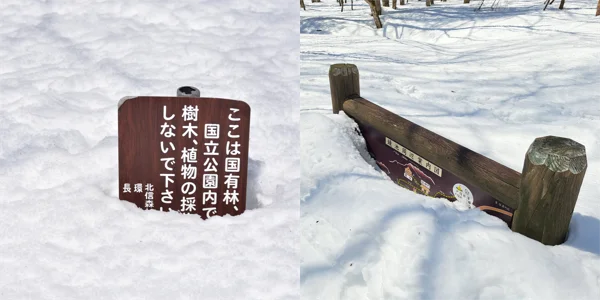 雪に埋まる看板