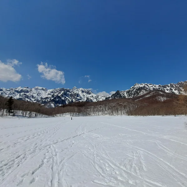 氷結して雪に覆われている鏡池
