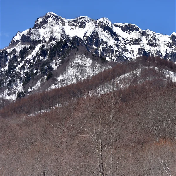 戸隠山