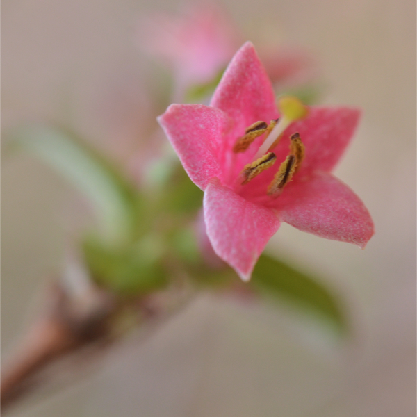 EOCXJỎ