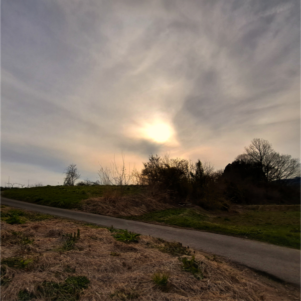 畦道夕景