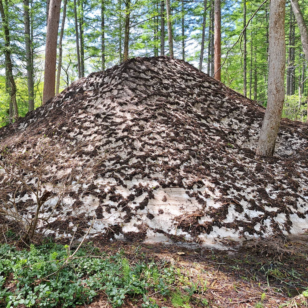 除雪の山
