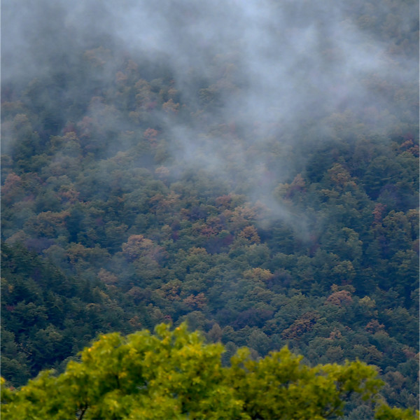 雲を纏う里山の山肌