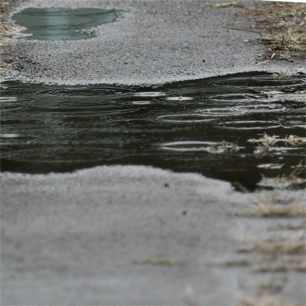 水たまりの波紋