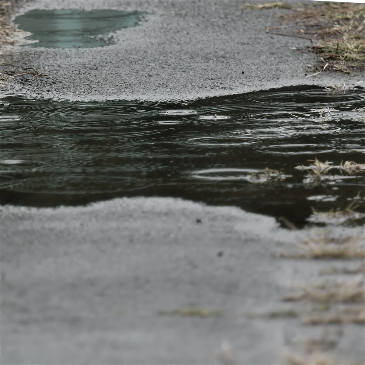 水たまりの波紋