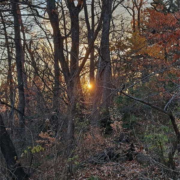 �X�Ō�����v�ԋ߂̑��z