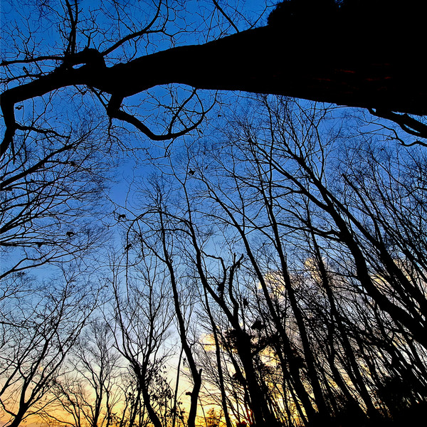 ���v��̋�