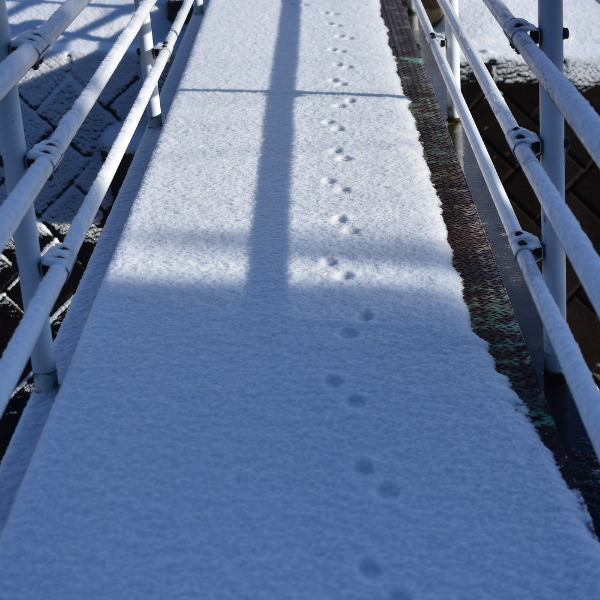 用水に掛かる橋