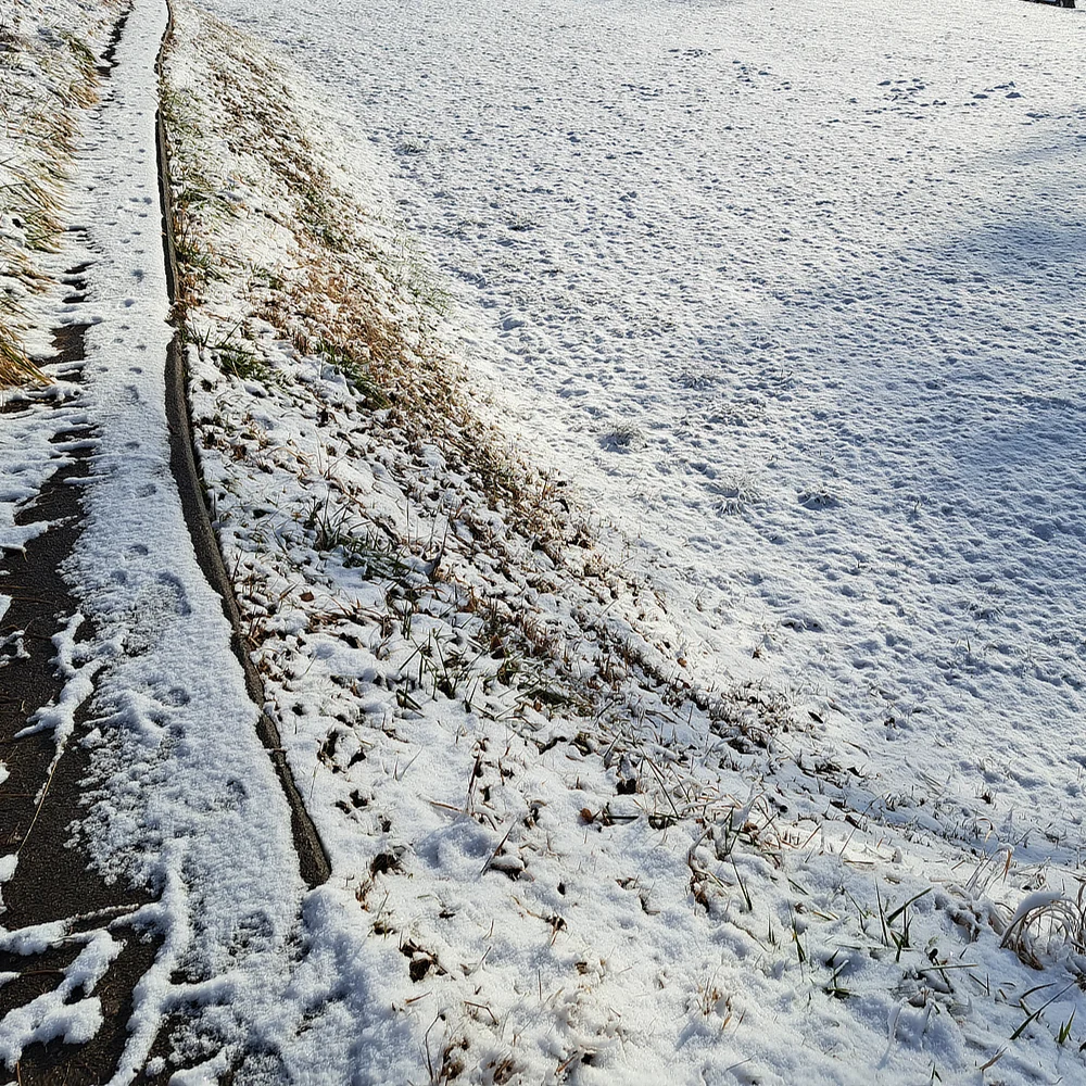 雪が積もった田んぼ