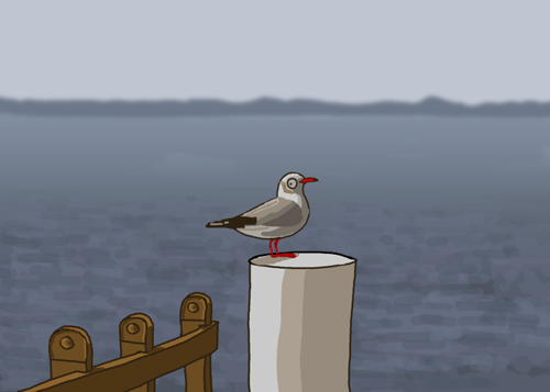 頭の黒いカモメ